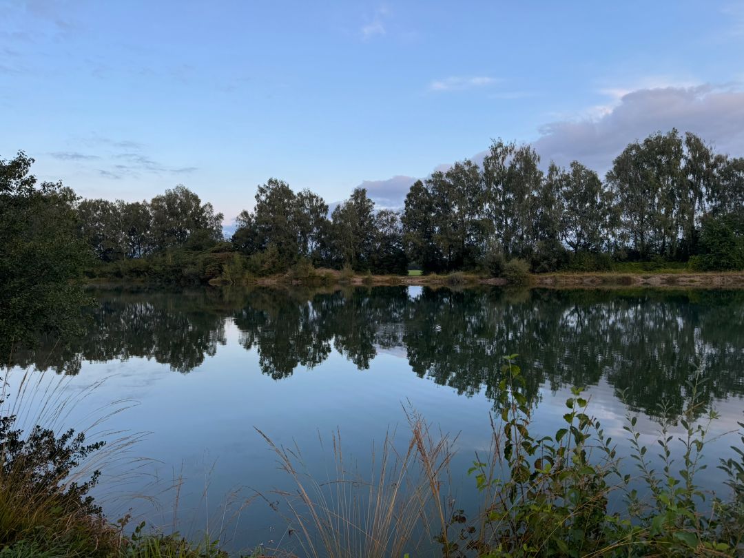 Birkensee (Gennach) angeln