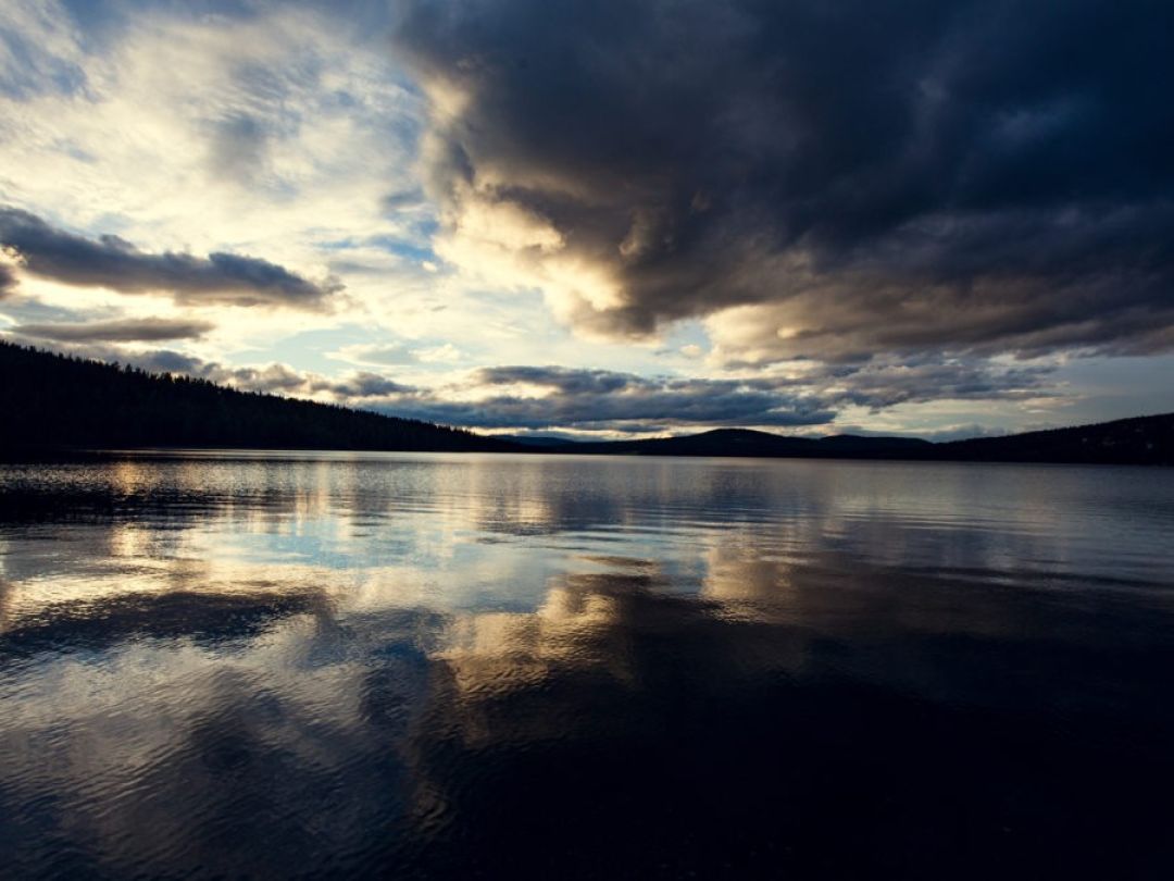 Gålåvatnet (Gålå) angeln