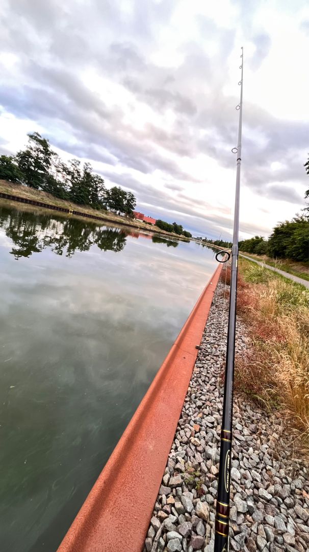 Mittellandkanal (Haldensleben) angeln