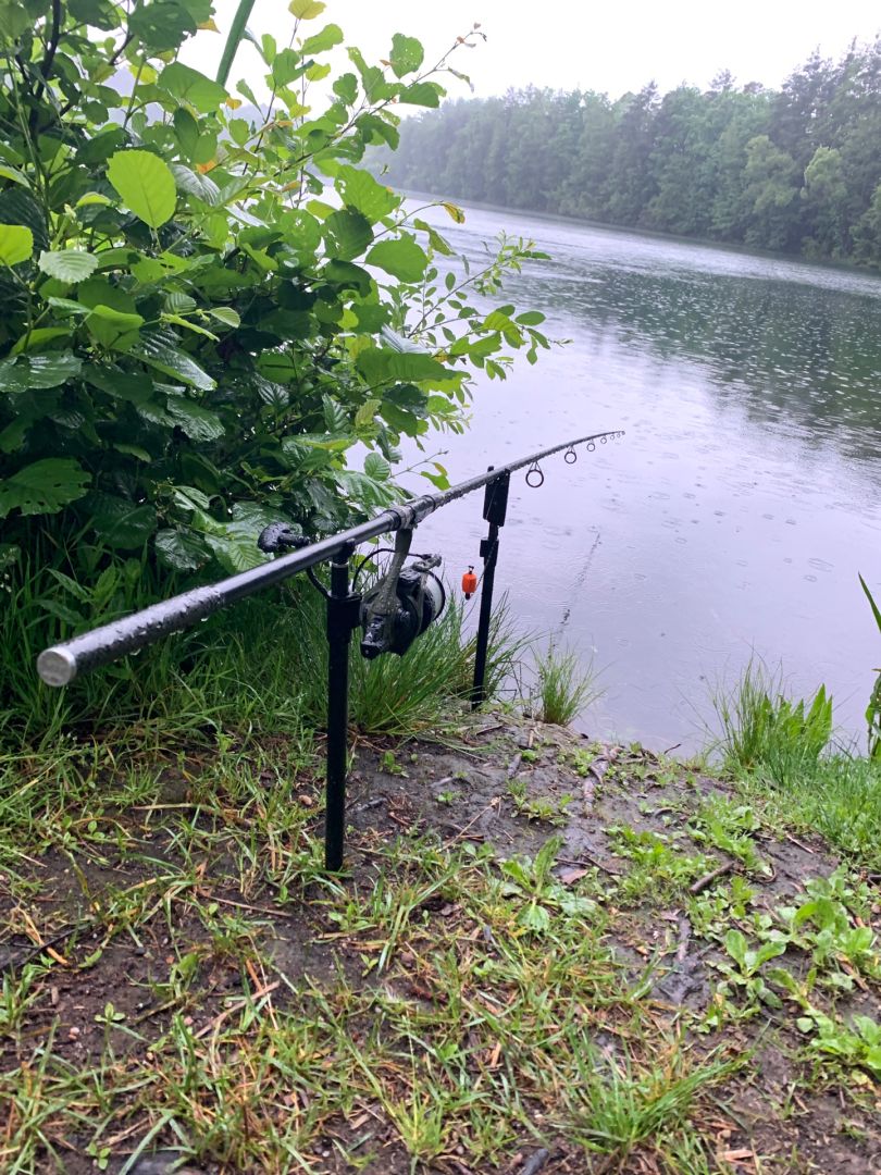 Baggerweiher Petersgmünd angeln