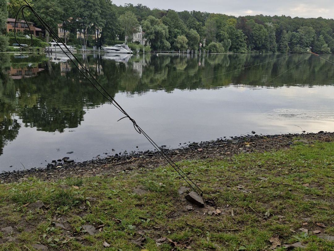 Griebnitzsee angeln