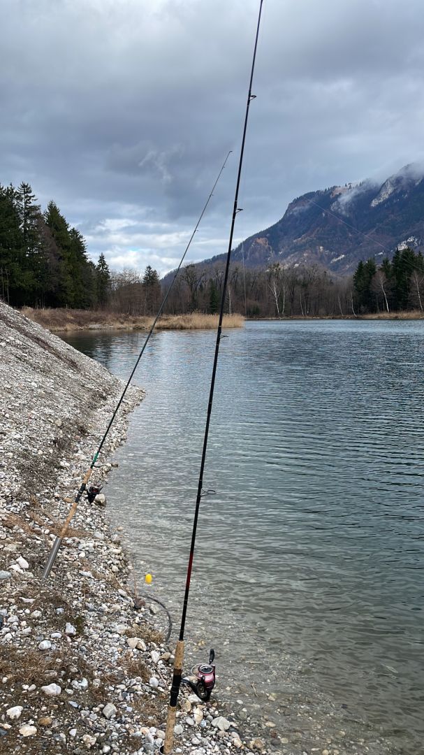 Ausee (Kirnsteiner See) angeln