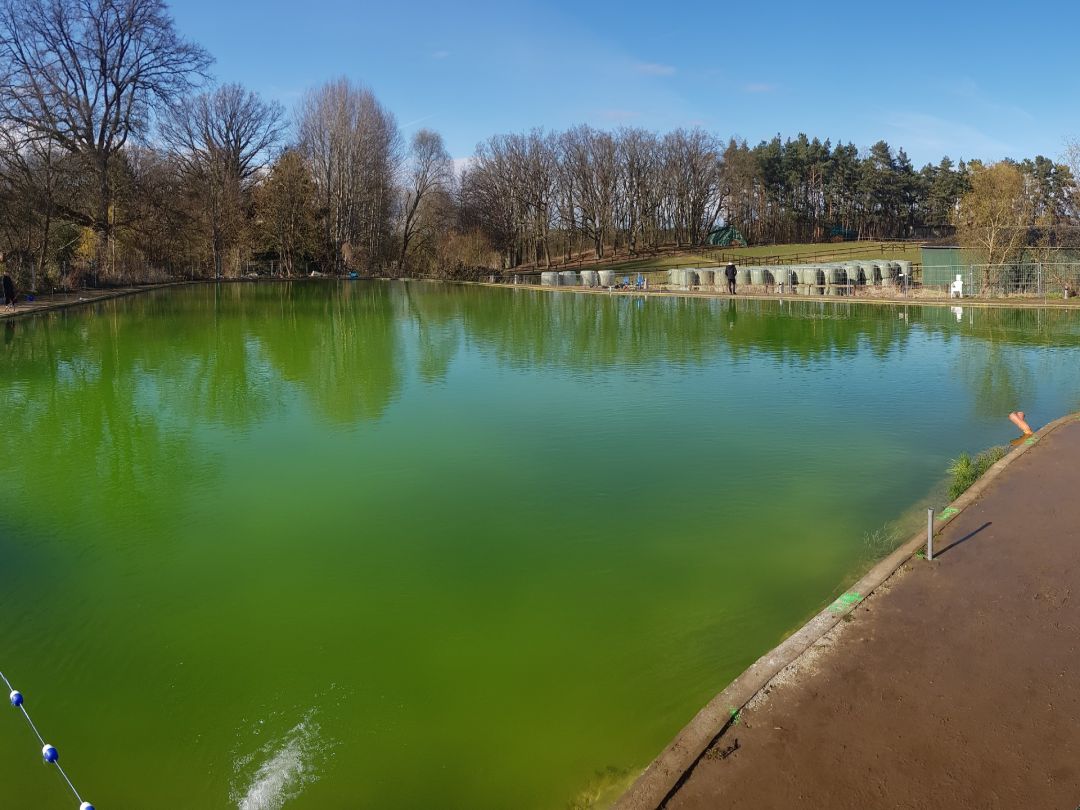 Forellenteich Bavendorf angeln