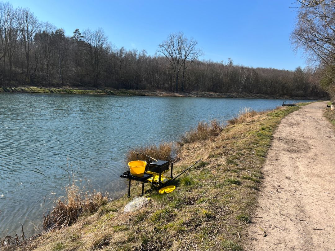 Ölgrundteich (Hettstedt) angeln