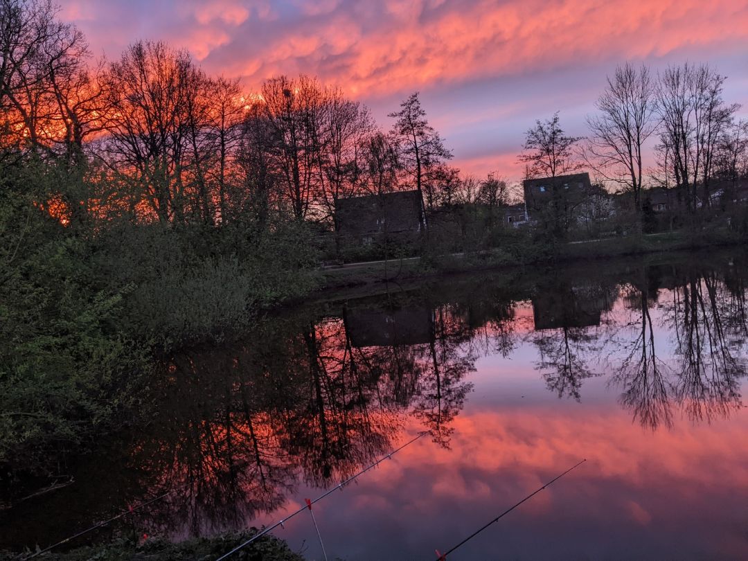 Bürgerfelder Teich (Oldenburg) angeln