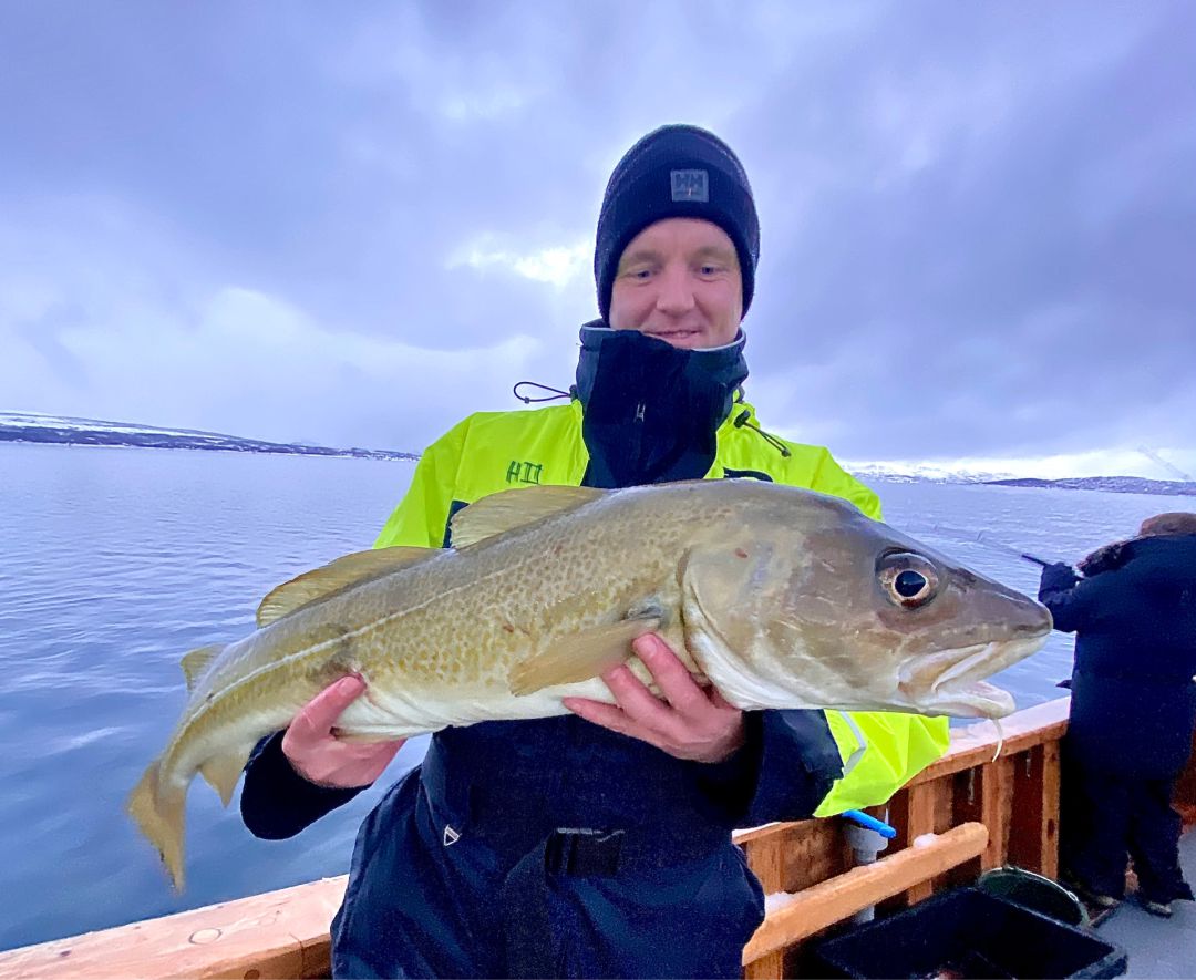 Tromsøysundet angeln