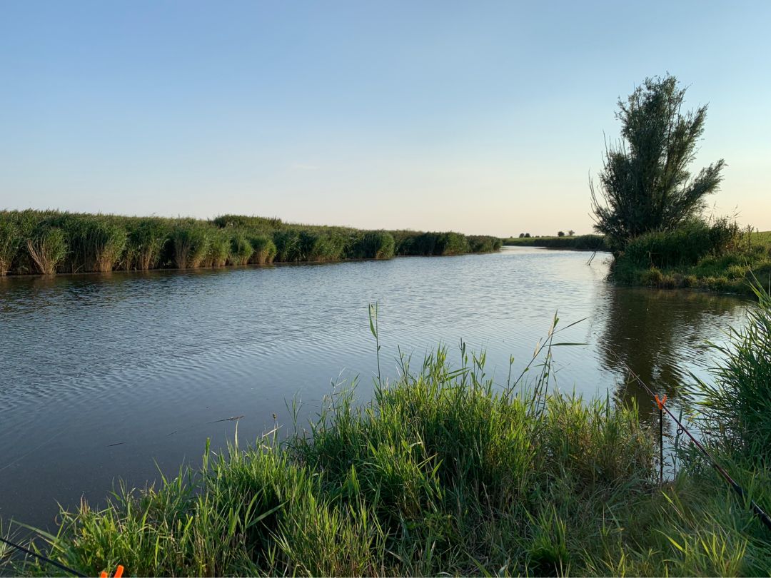 Wöhrdener Hafenstrom angeln