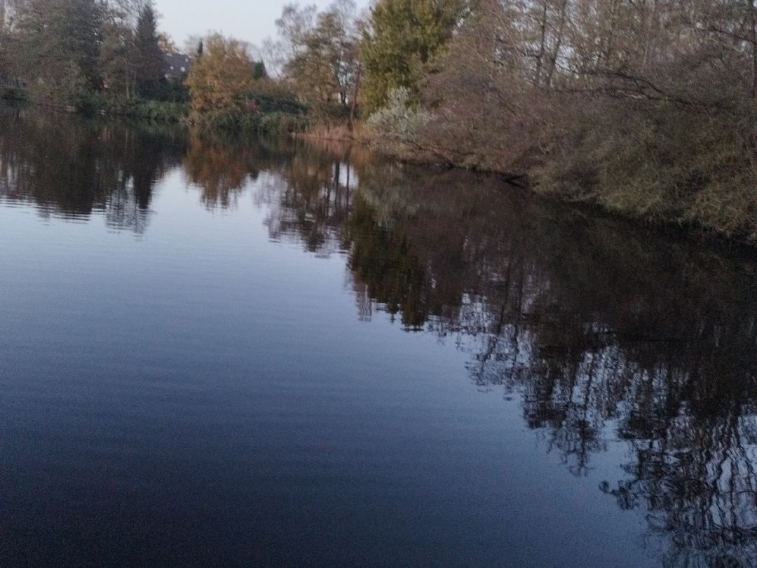 Teich an der Plauenstraße (Wilhelmshaven) angeln