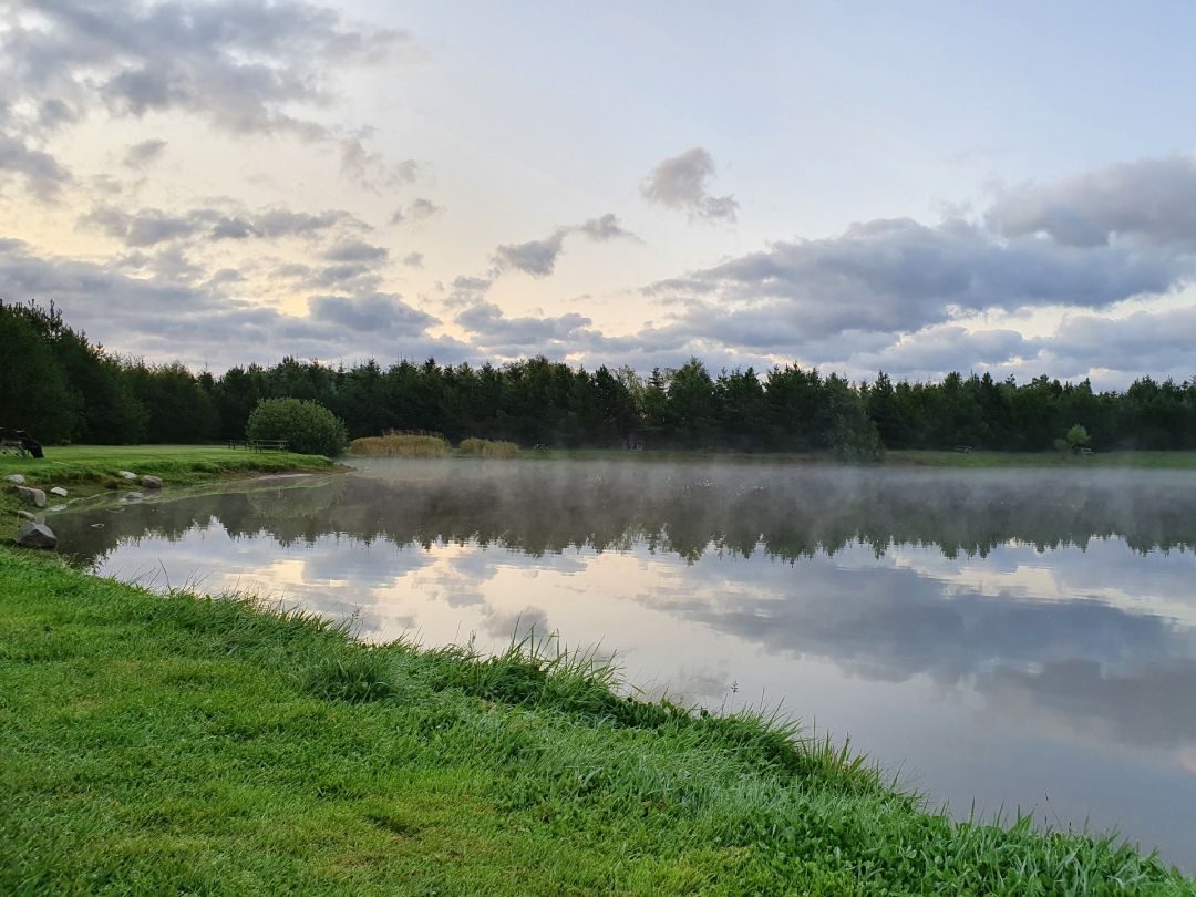 Bindslev Fiskepark angeln