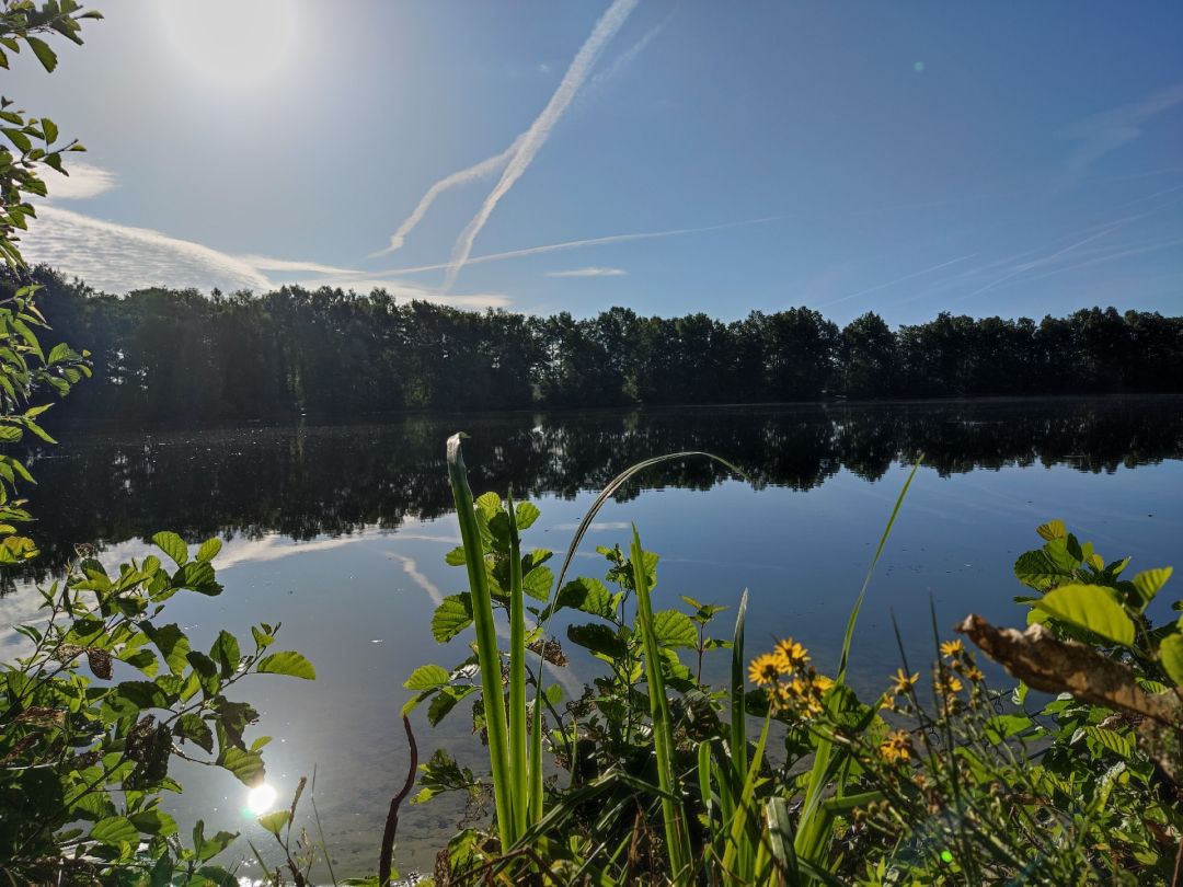 Setteler See (Lengerich) angeln