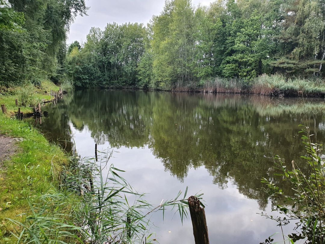 Mauersteinlöcher Kodersdorf angeln