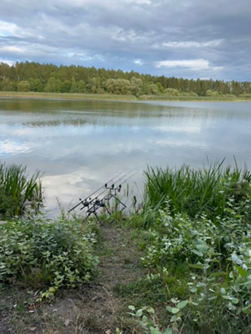 Schönhauser See (Strasburg) angeln