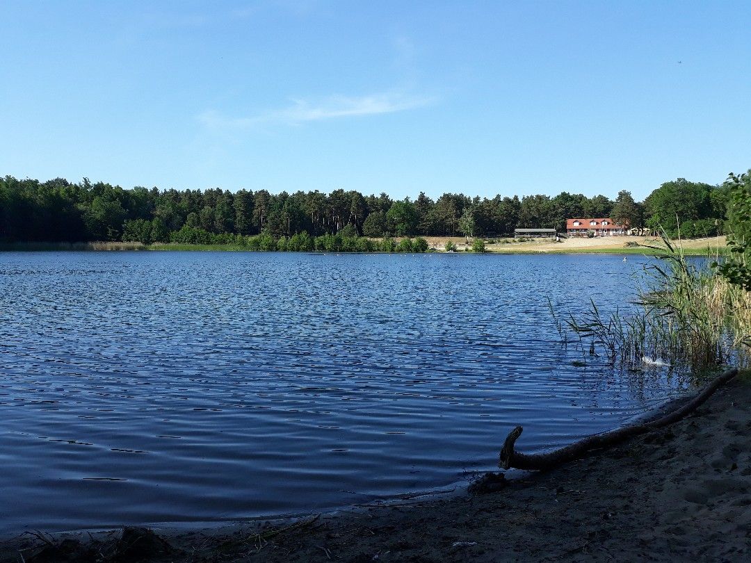 Friedensteich (Wittenberge) angeln