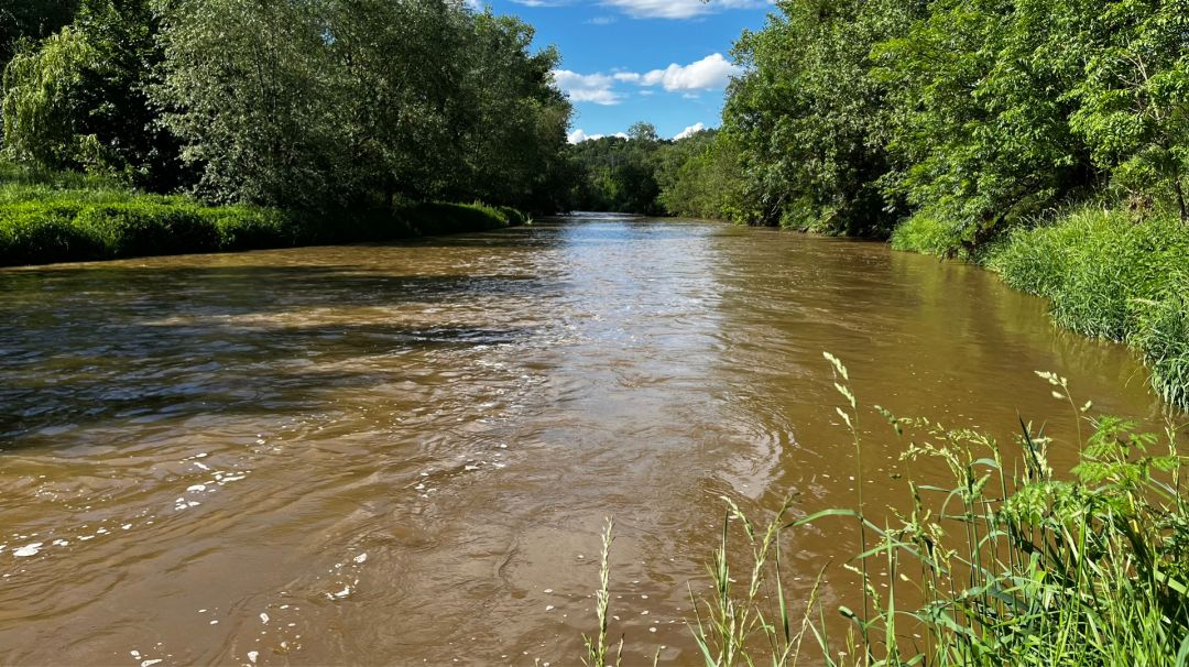 Weiße Elster (Bad Köstritz) angeln