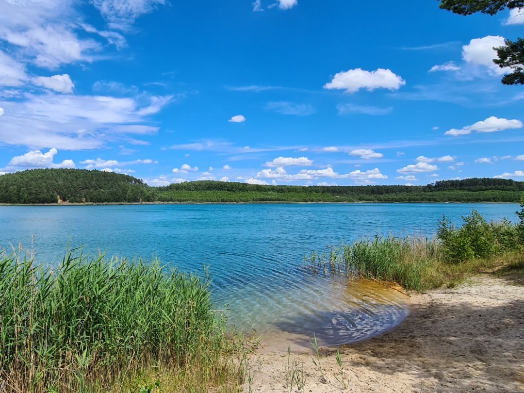 Tagebaurestloch 125 (Tröbitz) angeln