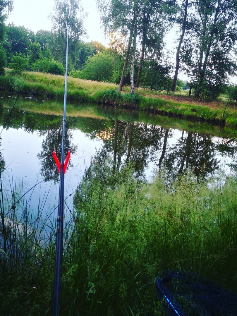 Teich Westerkampsweg angeln