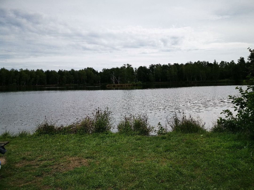 Wunschweiher (Wackersdorf) angeln