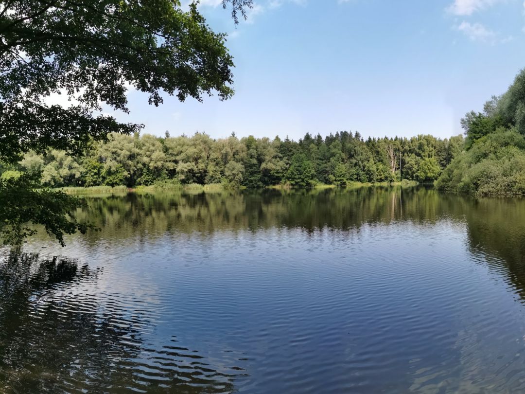 Neue Kieskuhle Sereetz angeln