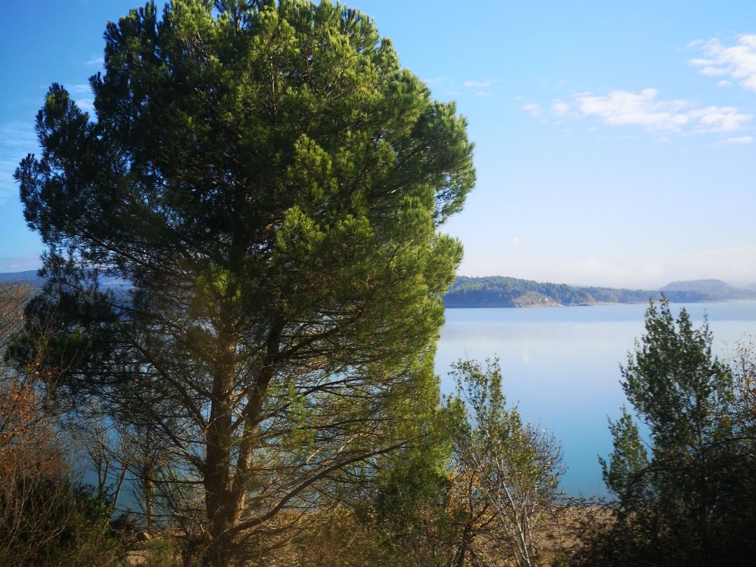 Embalse de Barasona-Joaquín Costa angeln