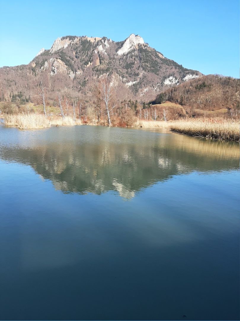 Vogelinsel am Inn (Hafnach) angeln