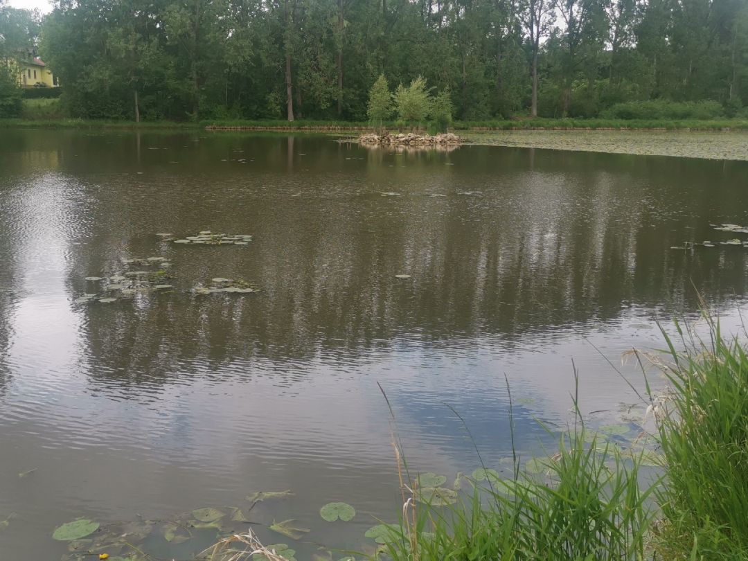 Schwabenweiher (Nennslingen) angeln