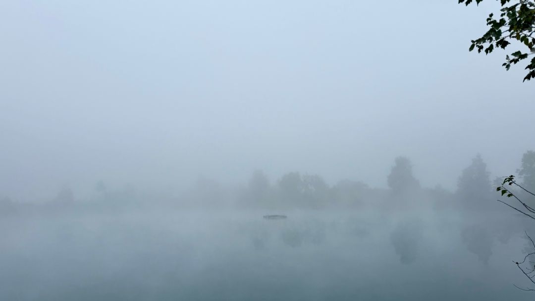 Auwaldsee (Langenwinkel) angeln