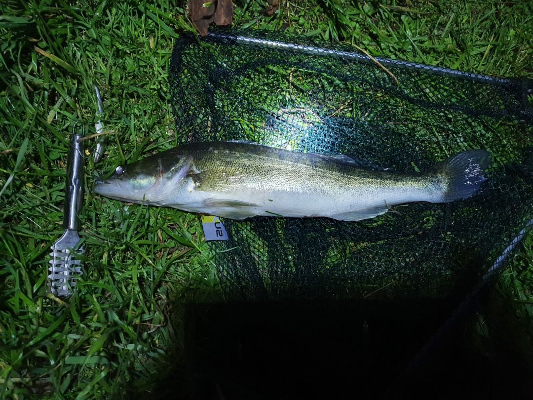 Moddergraben (Stichkanal Klein Köris) angeln