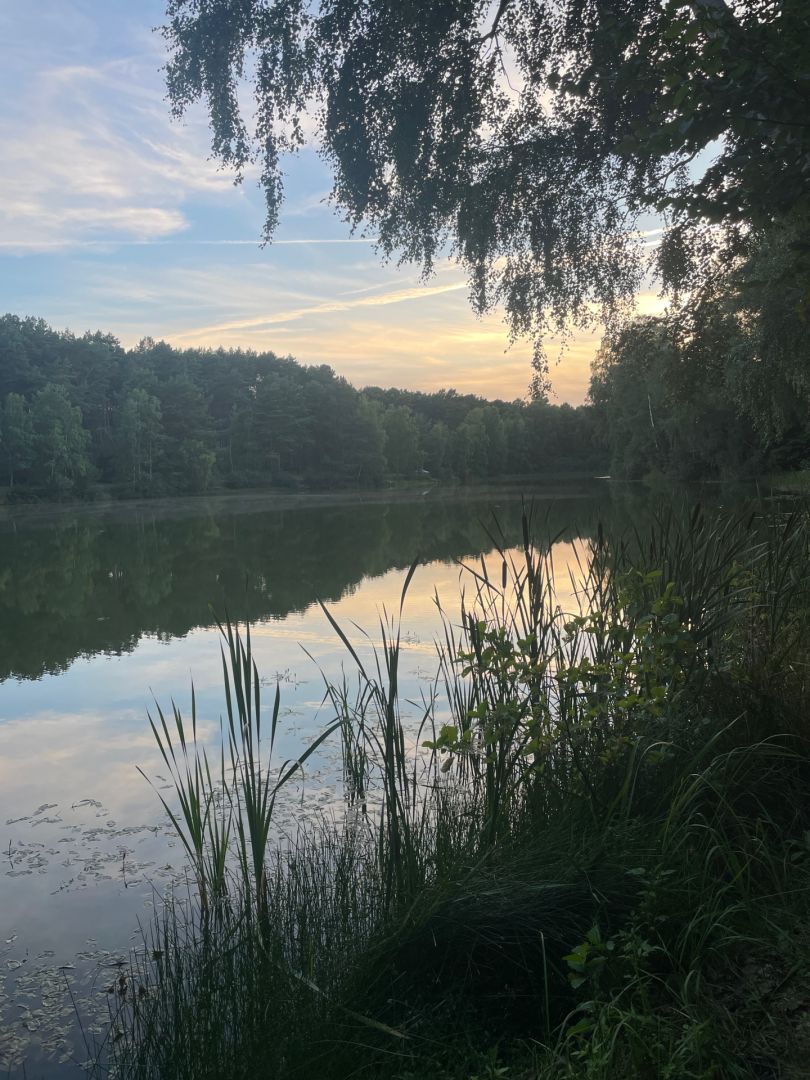 Kleiner Weißer See (Wesenberg) angeln