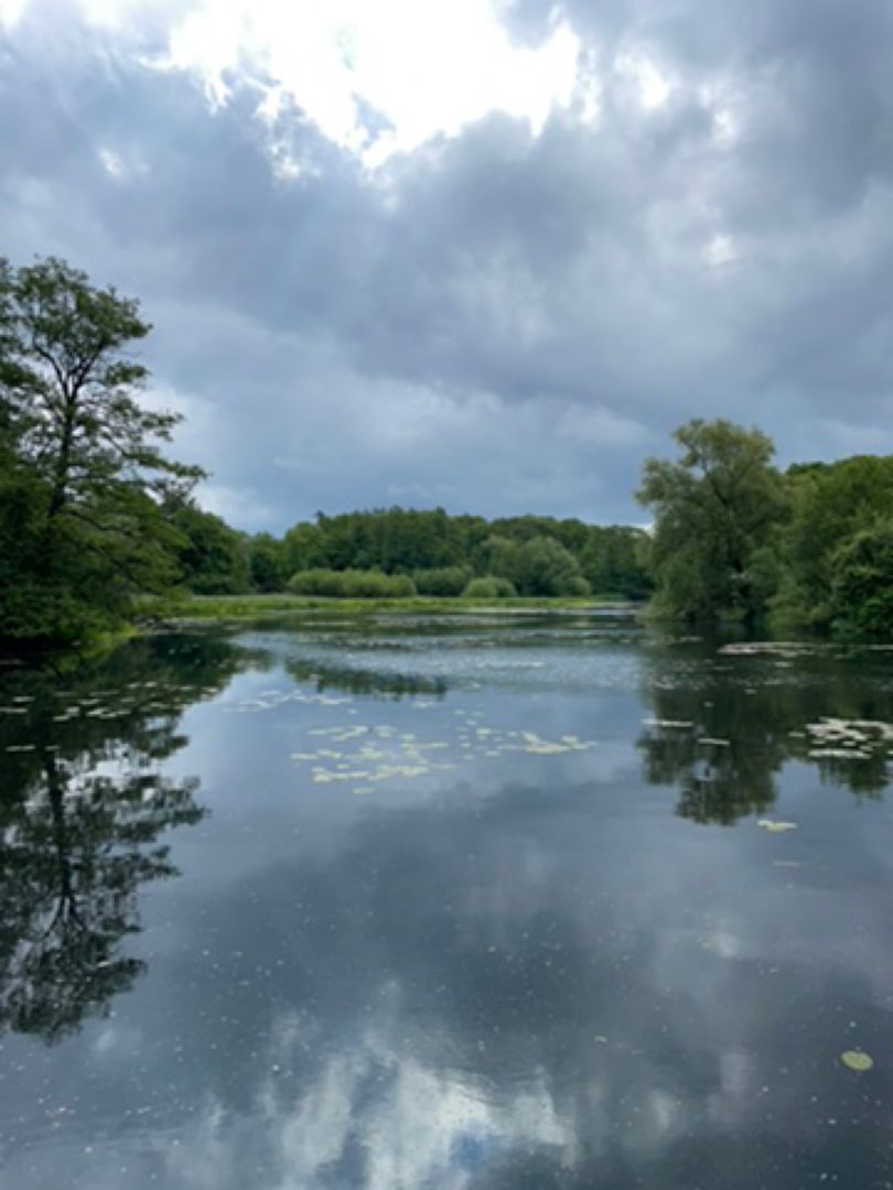 Teich Wulksfelde angeln