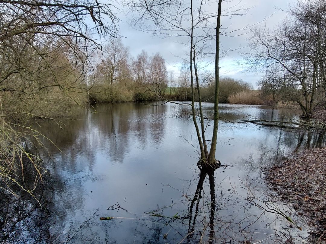 Kleine Kuhle am Wasserturm (Hagenow) angeln