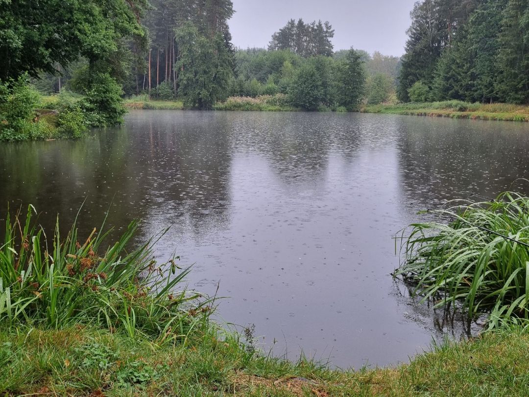 Panoramaweiher (Immenreuth) angeln