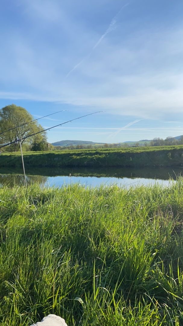 Leine (Northeim) angeln