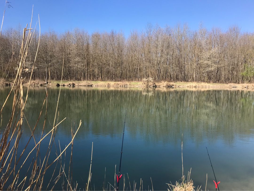 Baggersee Fischerhütte angeln