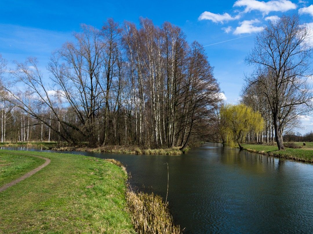 Spree (Burg/Spreewald) angeln