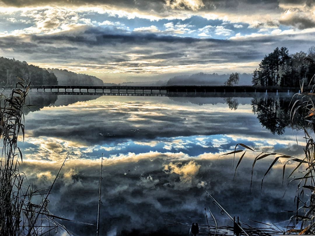 Braunsteich (Weißwasser) angeln