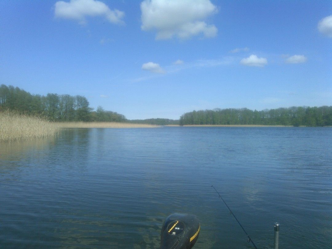 Großer Präßnicksee angeln