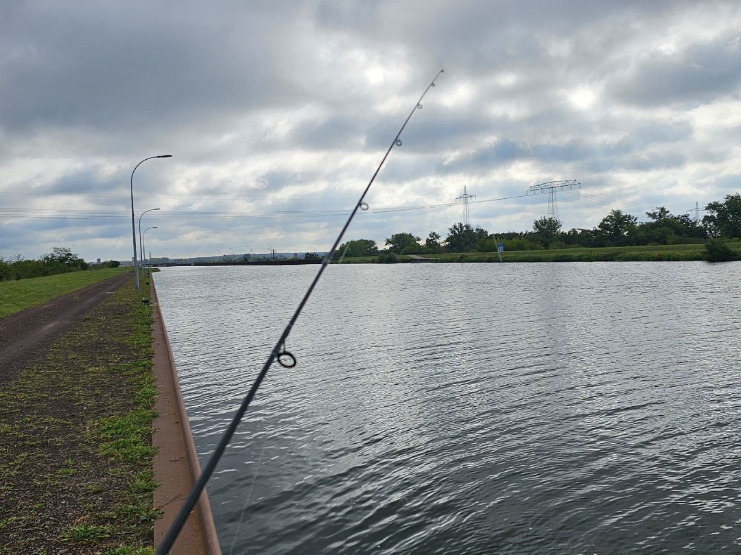 Mittellandkanal (Magdeburg) angeln