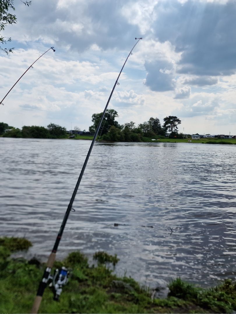 Weser (Bollen) angeln