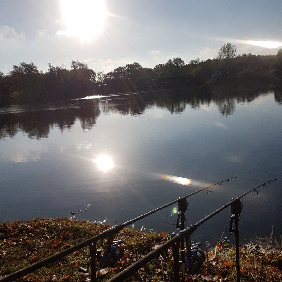 Hohenforster See angeln