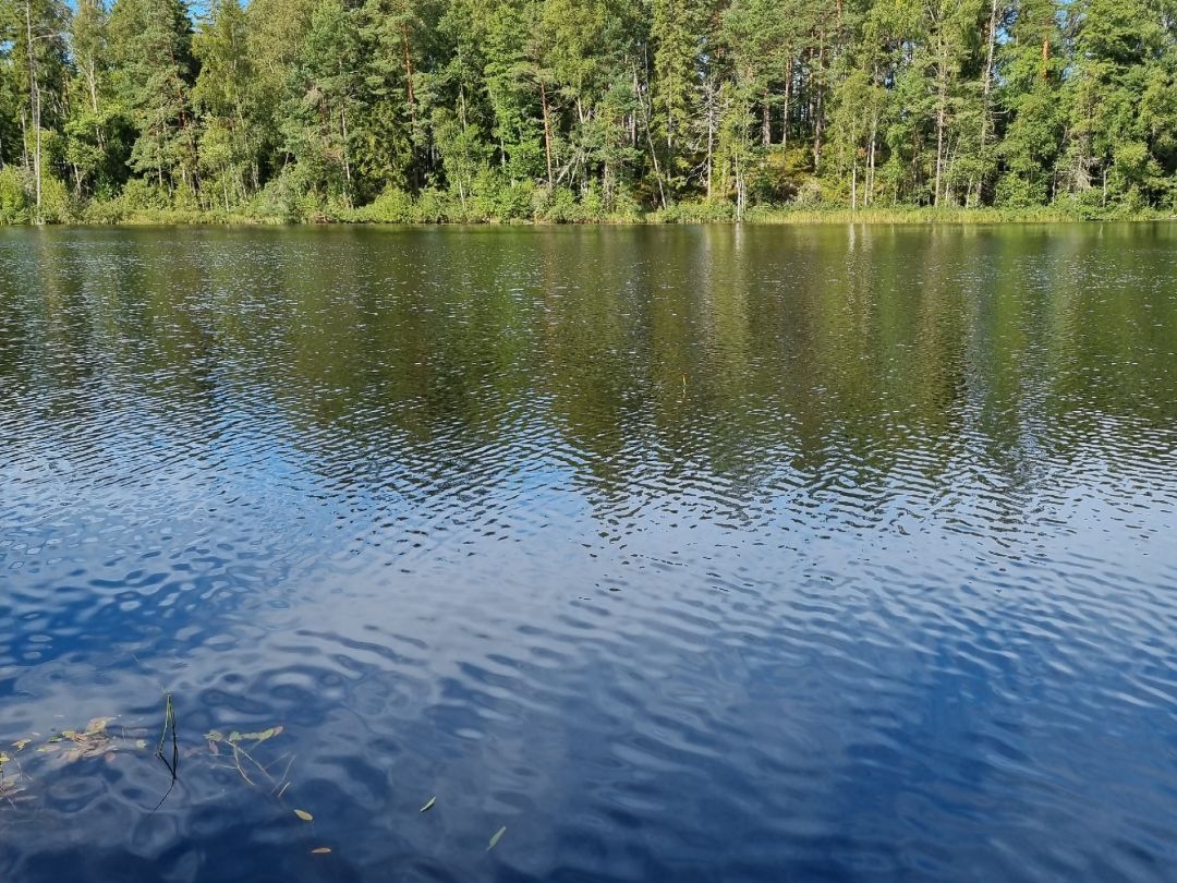 Kroksjön (Granvik) angeln