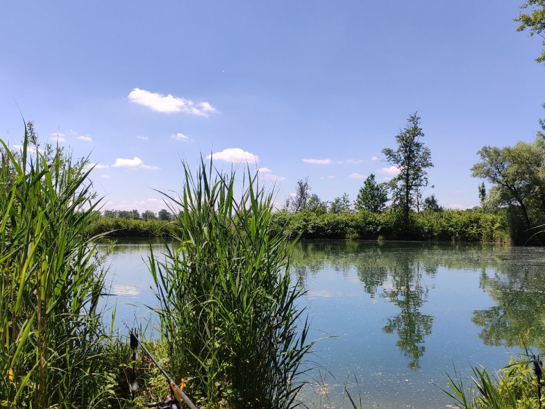 Allershausener Weiher (KFV Freising) angeln