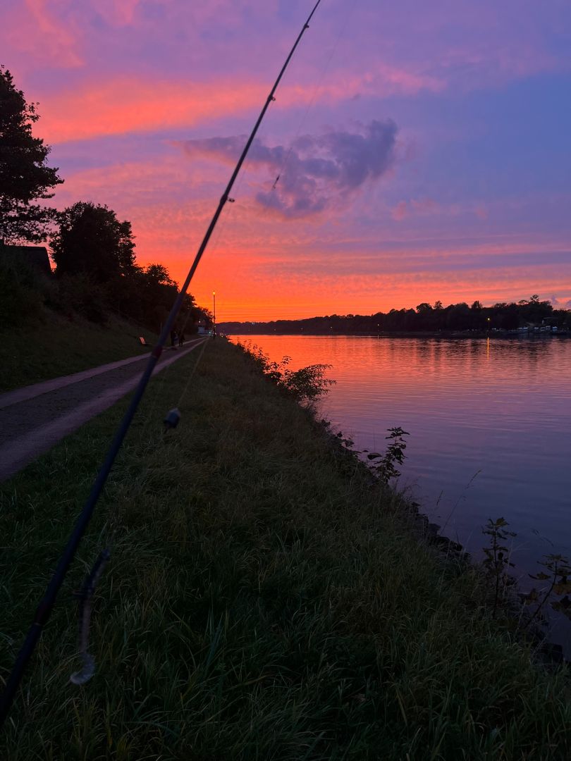 Nord-Ostsee-Kanal (Sehestedt) angeln