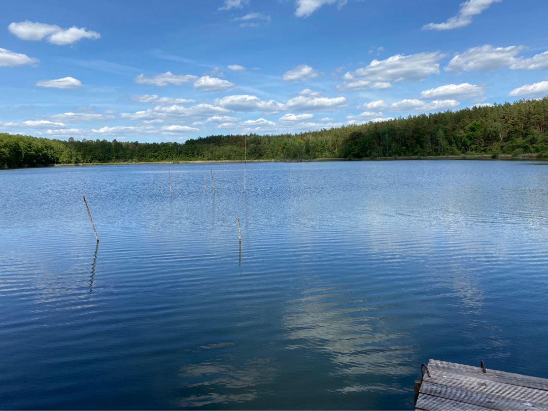 Kleiner Tietzensee (Rheinsberg) angeln