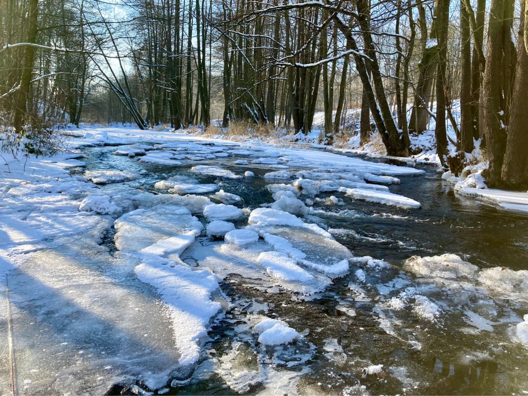 Freiberger Mulde (Mulda/Sachsen) angeln