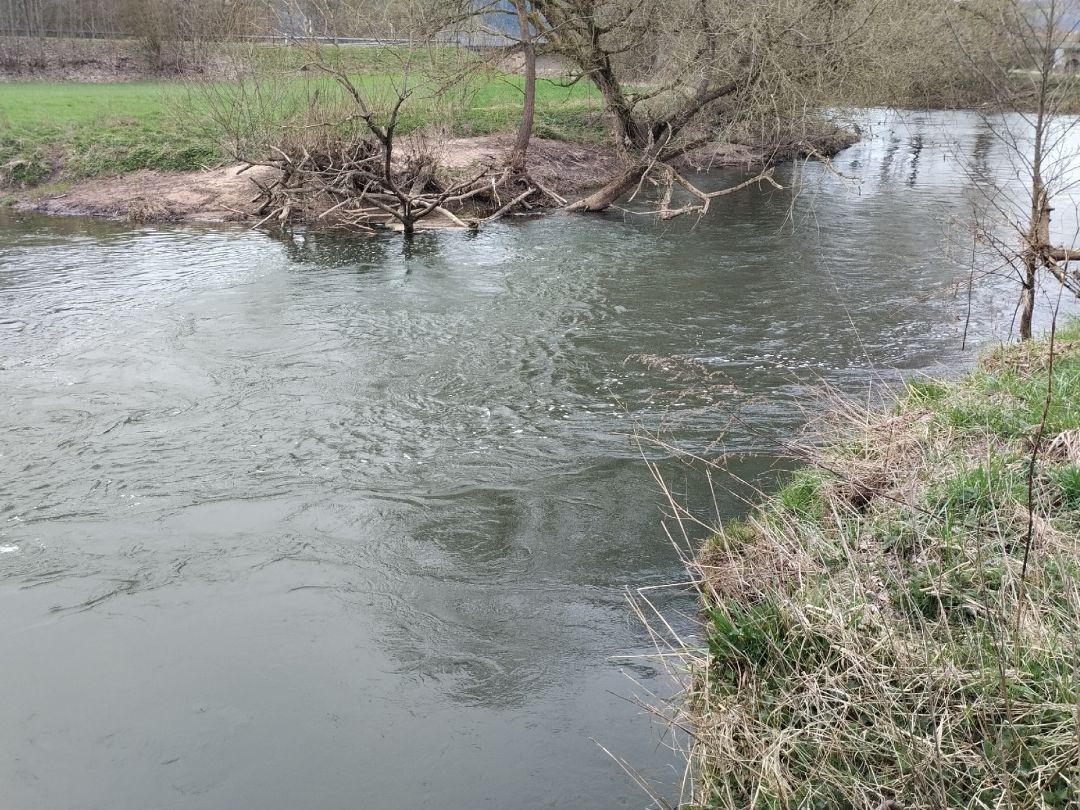 Fränkische Saale (Großenbrach) angeln