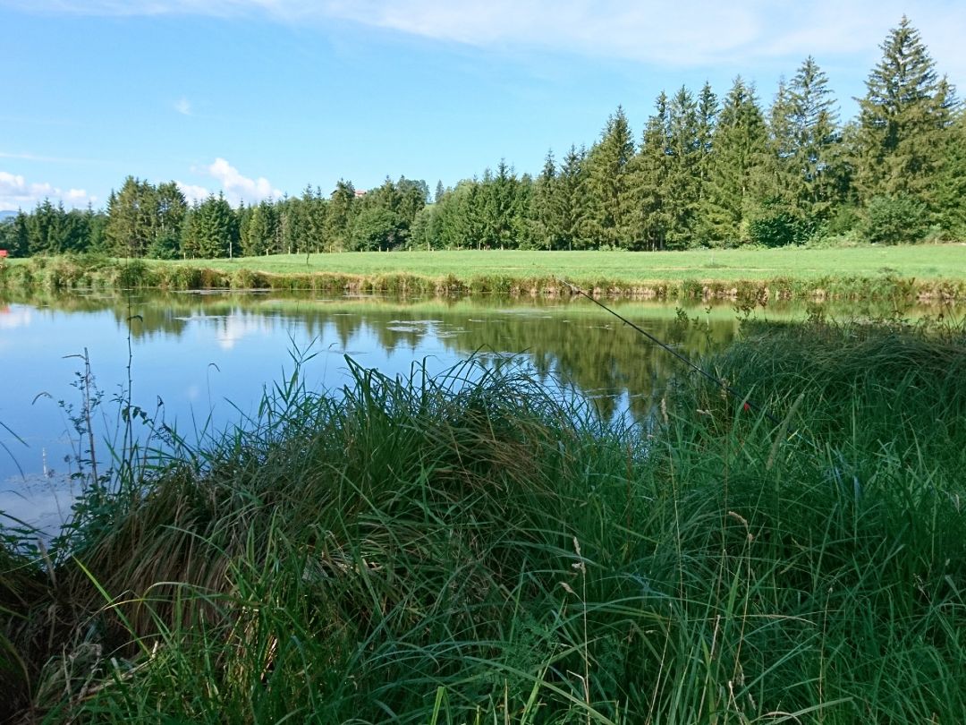 Rottachweiher (Lechbruck) angeln