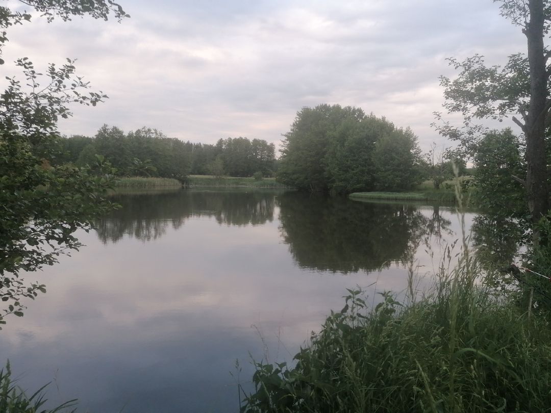 Langes Elsenfließ angeln