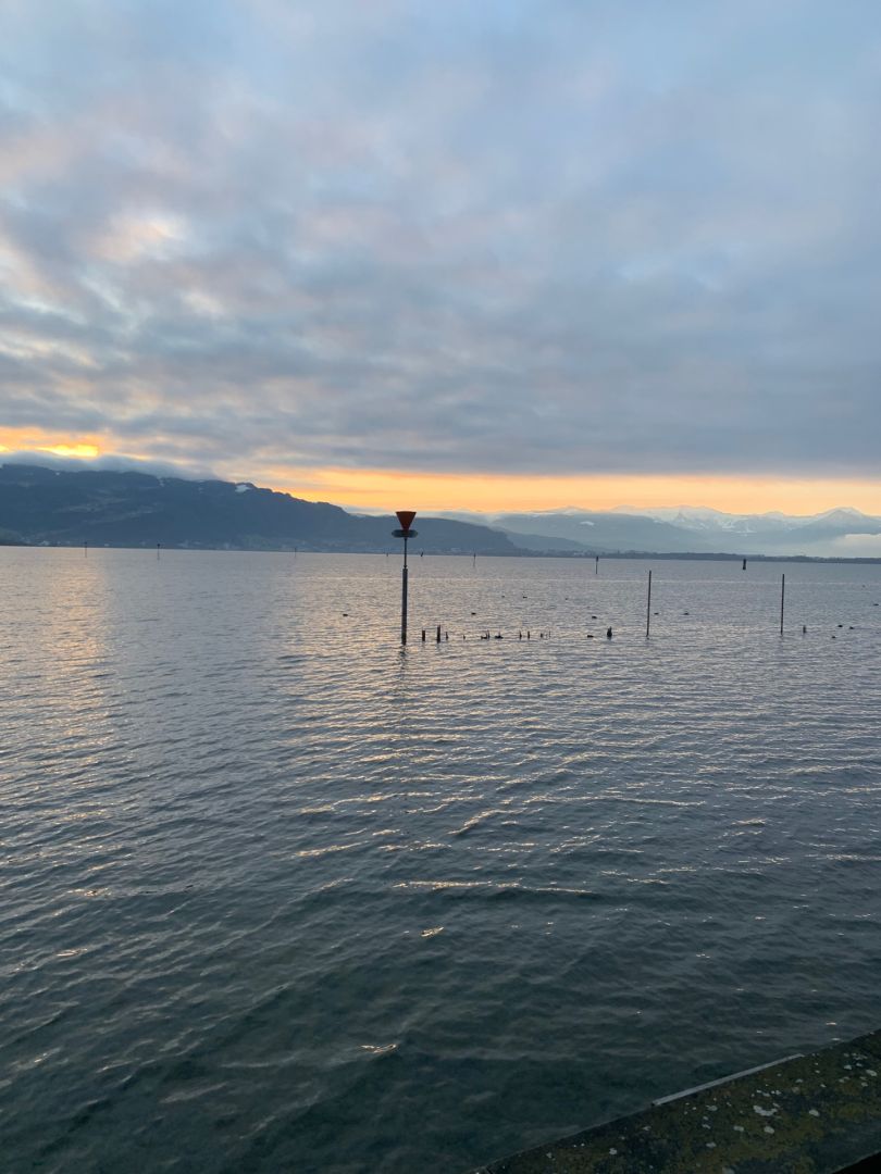 Bodensee (Lindau) angeln