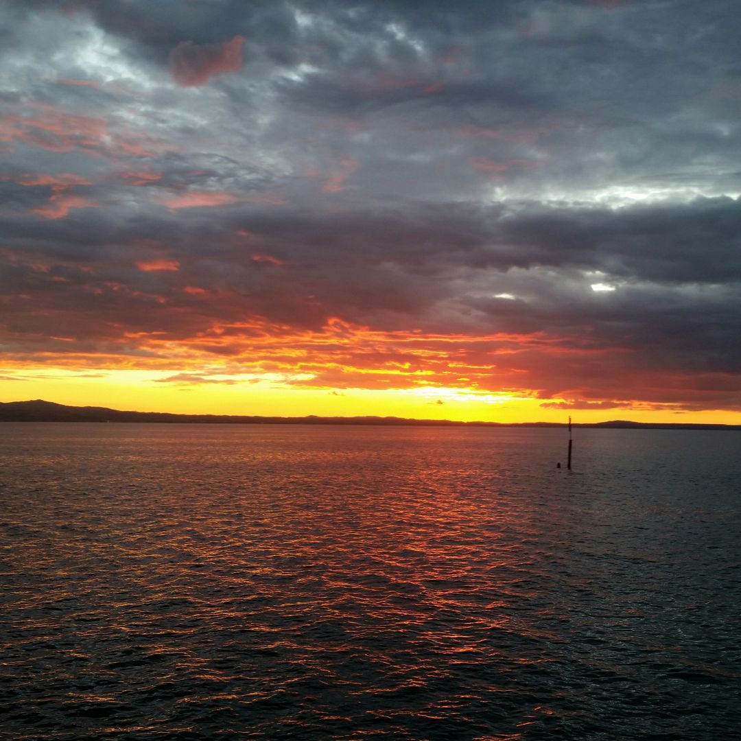 Bodensee (Lindau) angeln