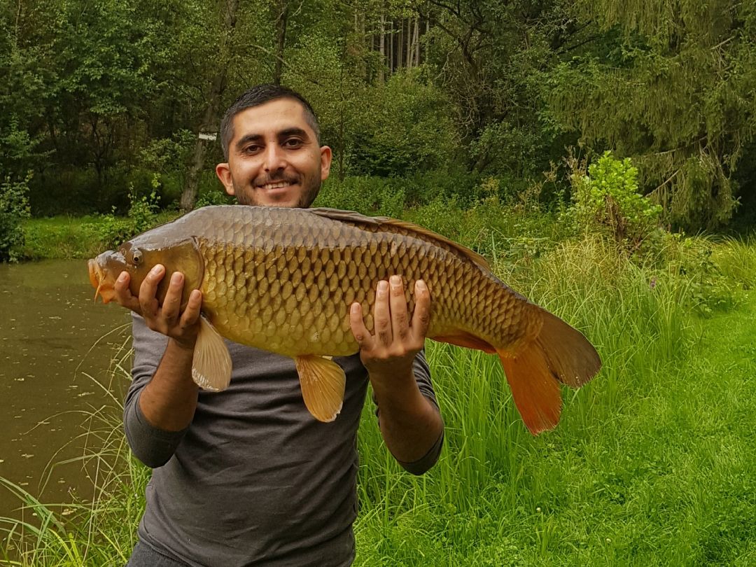 Teichanlage ASV Bierbach angeln